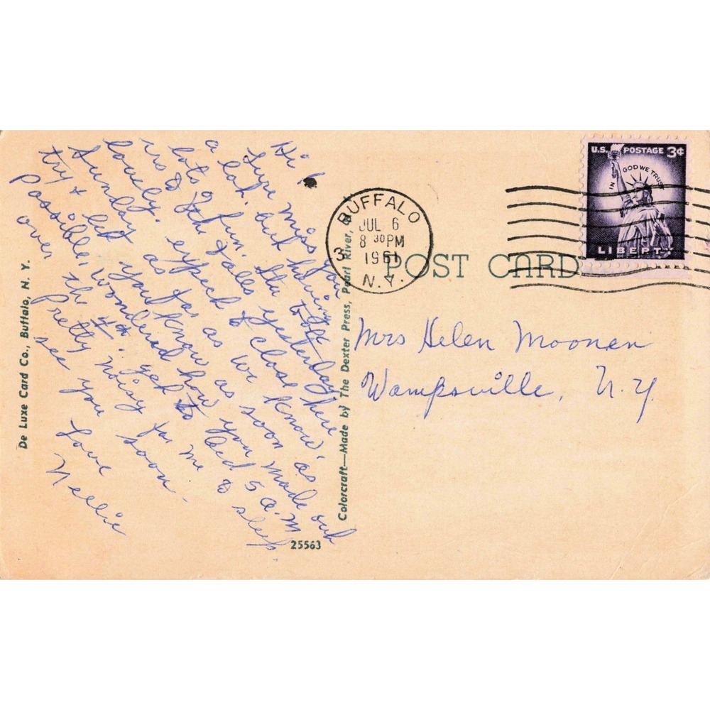 Vintage Humboldt Park Floral Emblem Buffalo NY Linen Postcard 1955 Postmarked - Picture 2 of 2